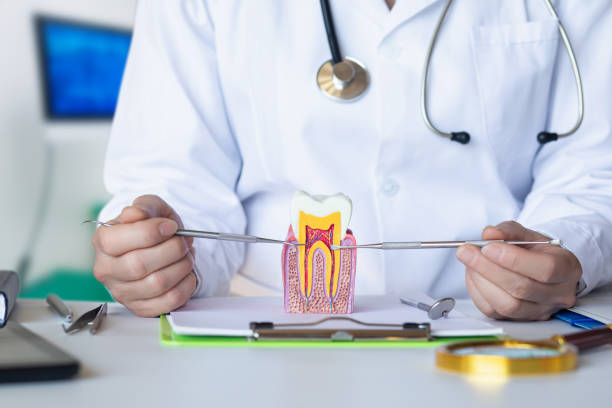 Best Urgent Dental Care for Toothaches in Wakeeney, KS